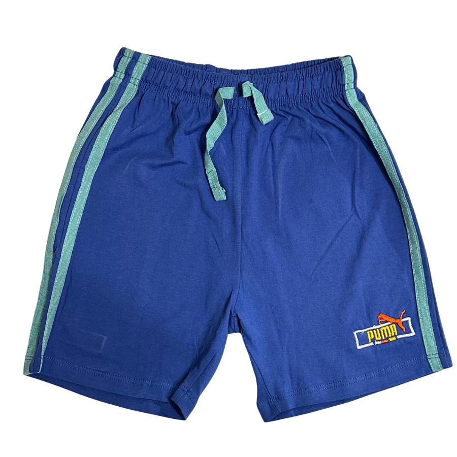 Puma Shorts- Blue